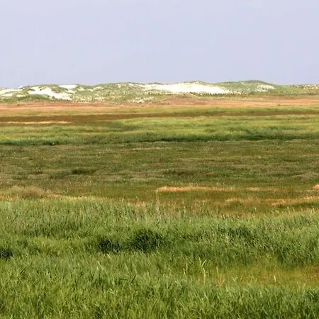 Appartments Am Deich 1 - Nr. 025